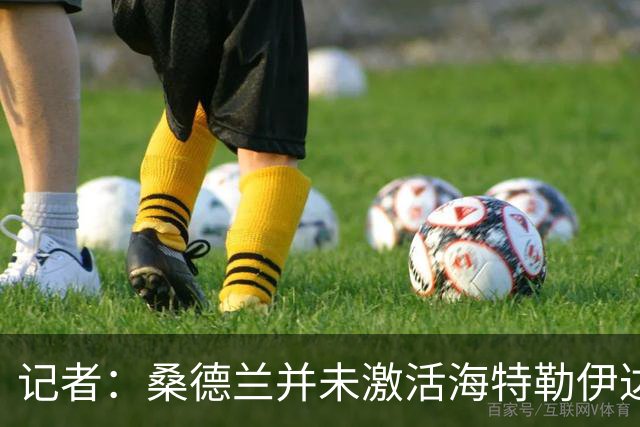 记者：桑德兰并未激活海特勒伊达的2300万欧买断条款，打算压价