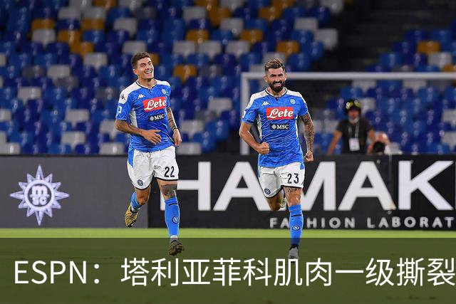 ESPN：塔利亚菲科肌肉一级撕裂，至少缺席世界杯前两场小组赛
